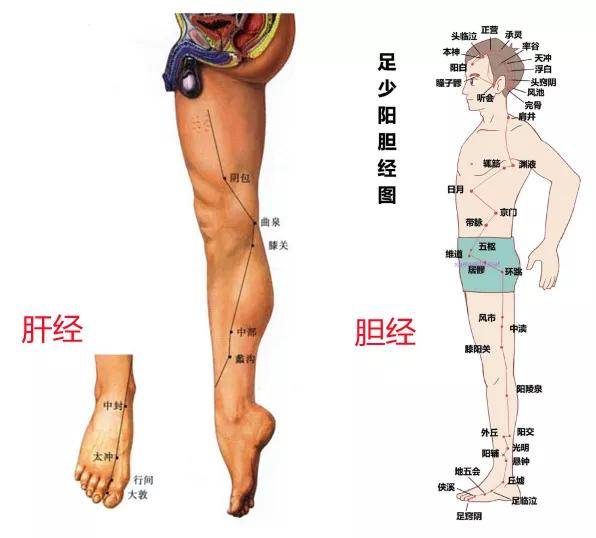 (1)大腿内外侧的肥胖(外裤线的位置——胆经,大腿内侧——肝经)肝胆经