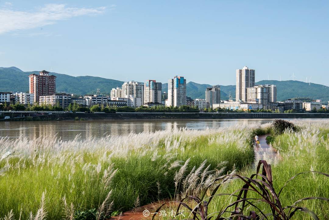 栈道|四川广元冷门景点，网上难以查到资料，芦苇林映衬城市建筑美如画