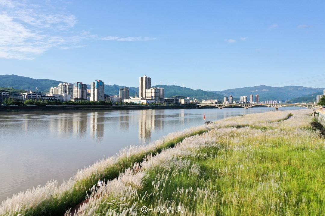 栈道|四川广元冷门景点，网上难以查到资料，芦苇林映衬城市建筑美如画