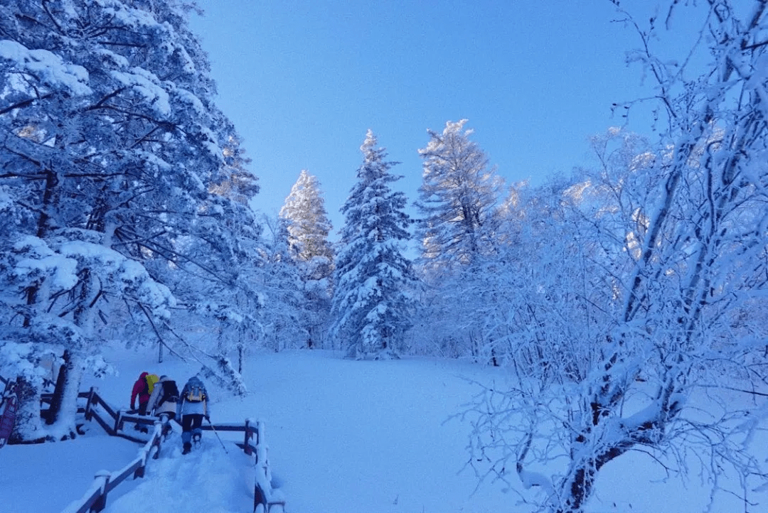 穿林海跨雪原走進夢幻雪山挑戰鏡泊湖藍冰徒步