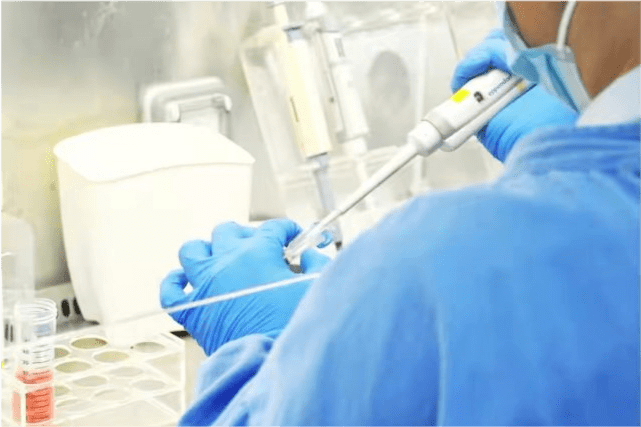 什么|空腹血糖什么时候测量最好?