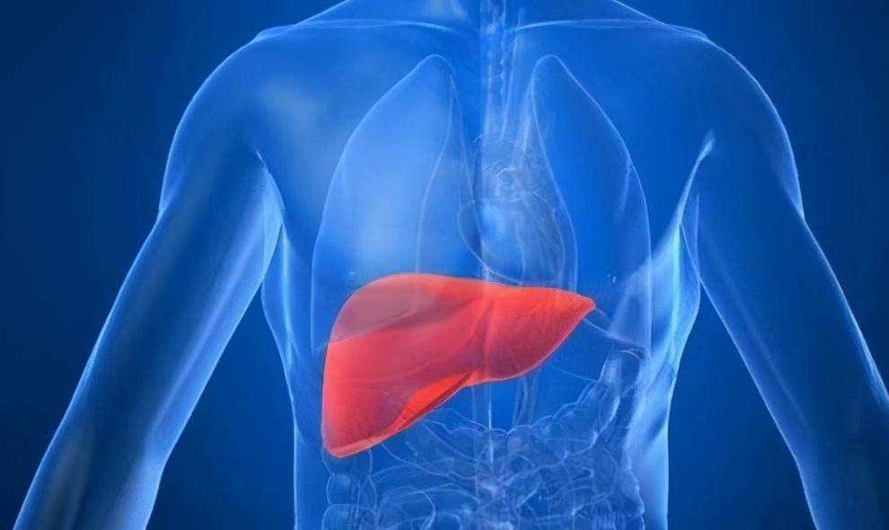 科普|小三阳只要DNA阳性,就要抗病毒?乙肝患者,请收下这封科普信