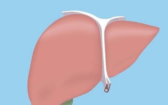 治疗|治肝癌没有“特效药”,关注这3点,对治疗或许有帮助