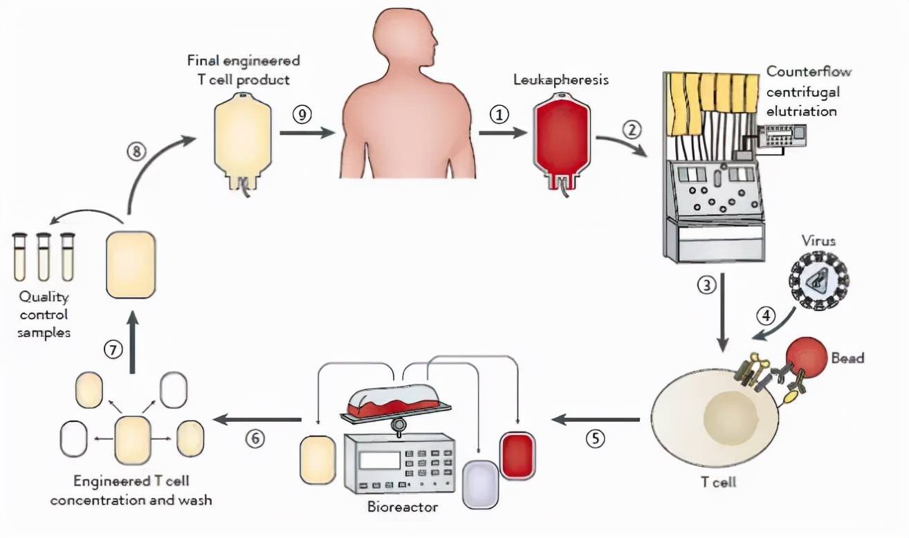 高达|抗癌药也“内卷”？PD1降到3300元，120万的CAR-T怎么看？