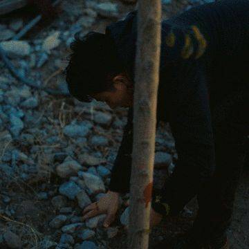 杨子姗|黄轩杨子姗新片上映，4天才拿662万票房，目测怕是要“血本无归”