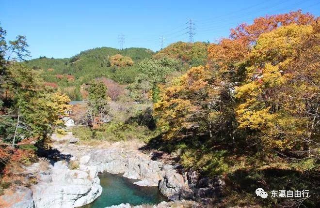 东京这10个红叶秘境 有的你或第一次听说 地址