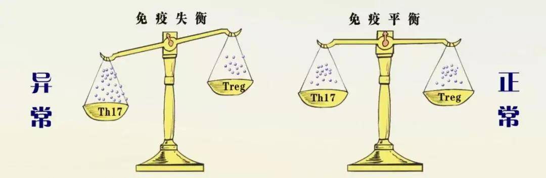 免疫|干细胞的免疫调节能力为“重症肌无力”人群开启希望之窗！