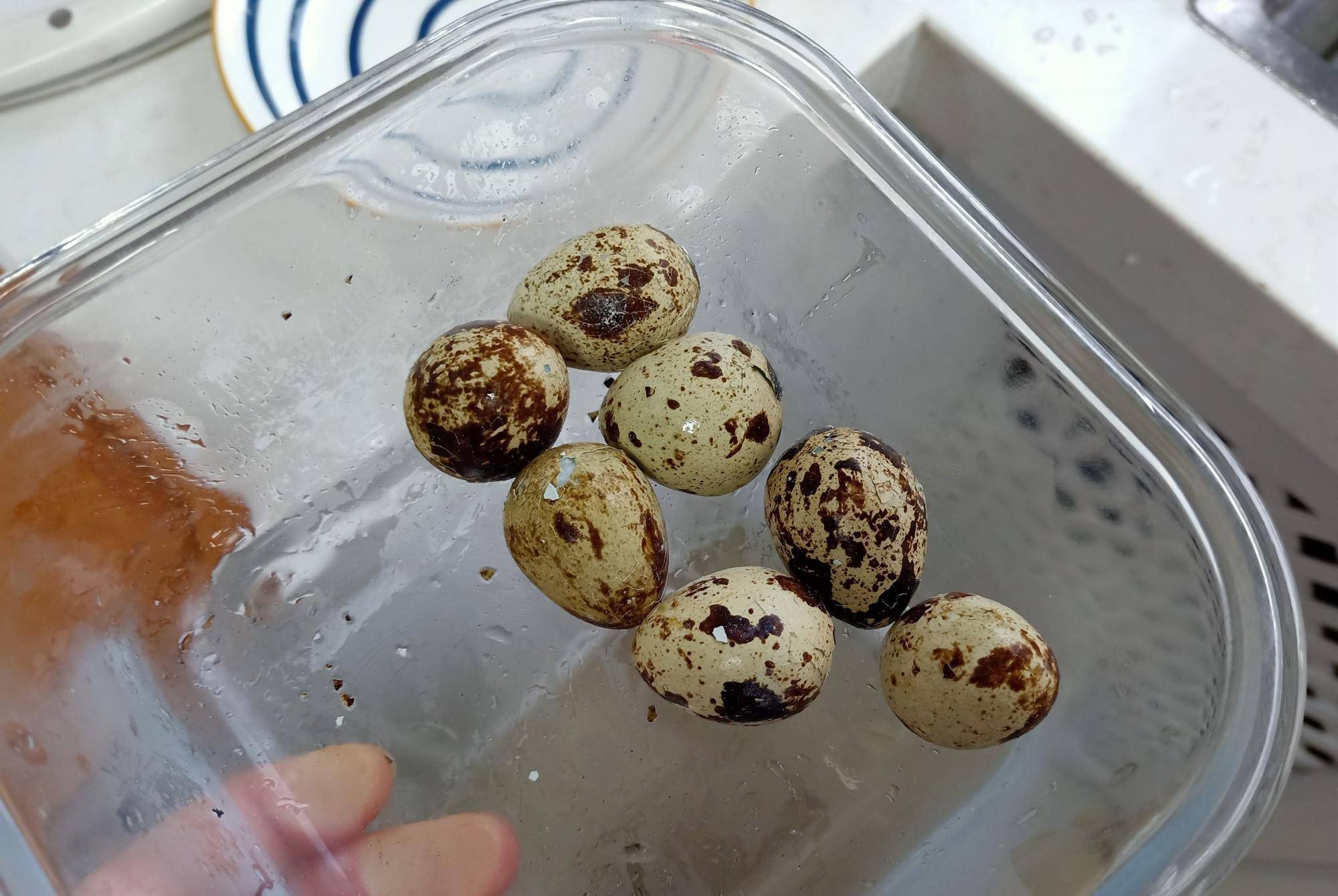 神兽|娘儿俩的早餐火了,不要低估神兽的胃口,满满一桌,转身就光盘