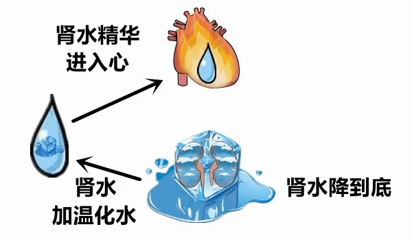 就这样,心火和肾水就完成了相交,它们通过不断的相