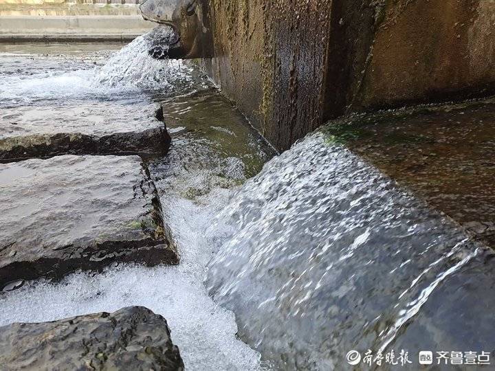 济南南部山区河道里藏着个虎洞泉，现在喷得还挺猛！