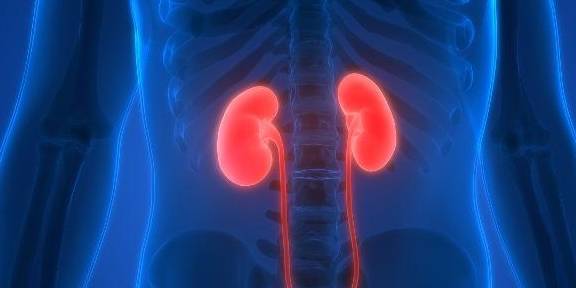 人群|不妨坦白：这4类人群，尤其要关注“慢性肾病”