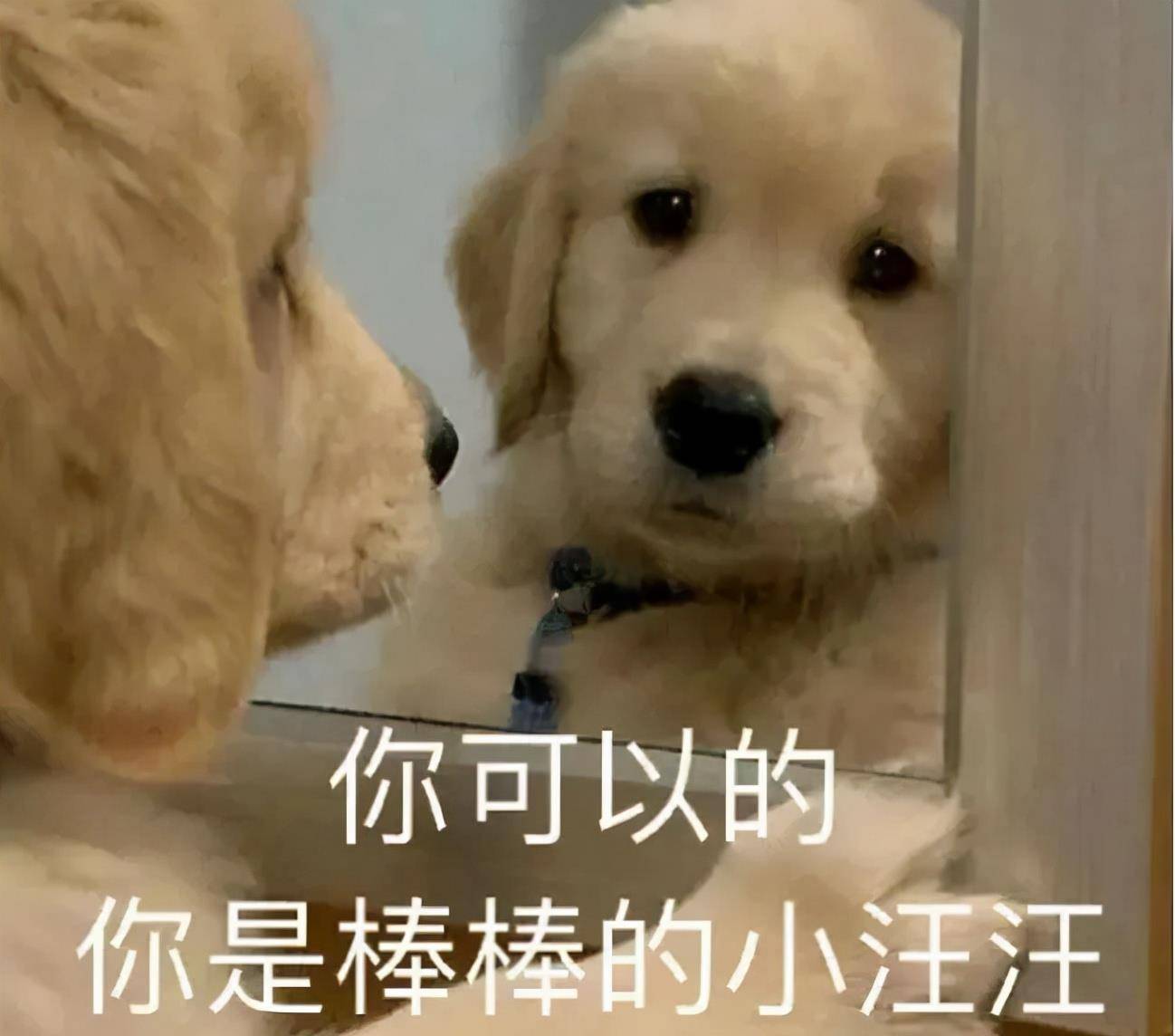 王者 越想变潮就越土气？叫这些网友一声土味王者，不过分吧？