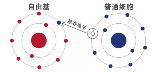 细胞祛颈纹、黑眼圈、泪沟，嗨体“三剑客”为何如此神奇？