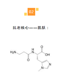 细胞祛颈纹、黑眼圈、泪沟，嗨体“三剑客”为何如此神奇？