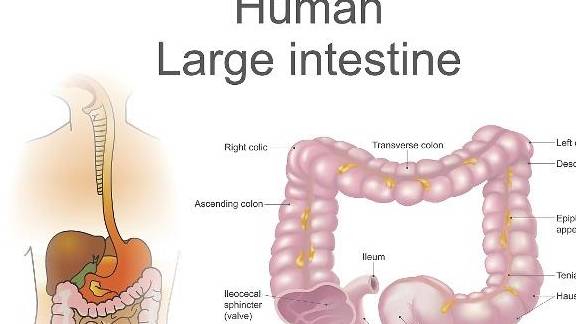 肾脏|这5个“症状”出现时，或许是在“提醒”你，肌酐有些“升高了”