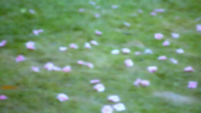 许仙|《新白蛇传》积压剧果然是有原因的，下次这样的剧，还是埋了吧