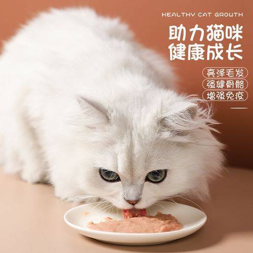 瑞萌|双十一猫咪零食推荐，养猫必备