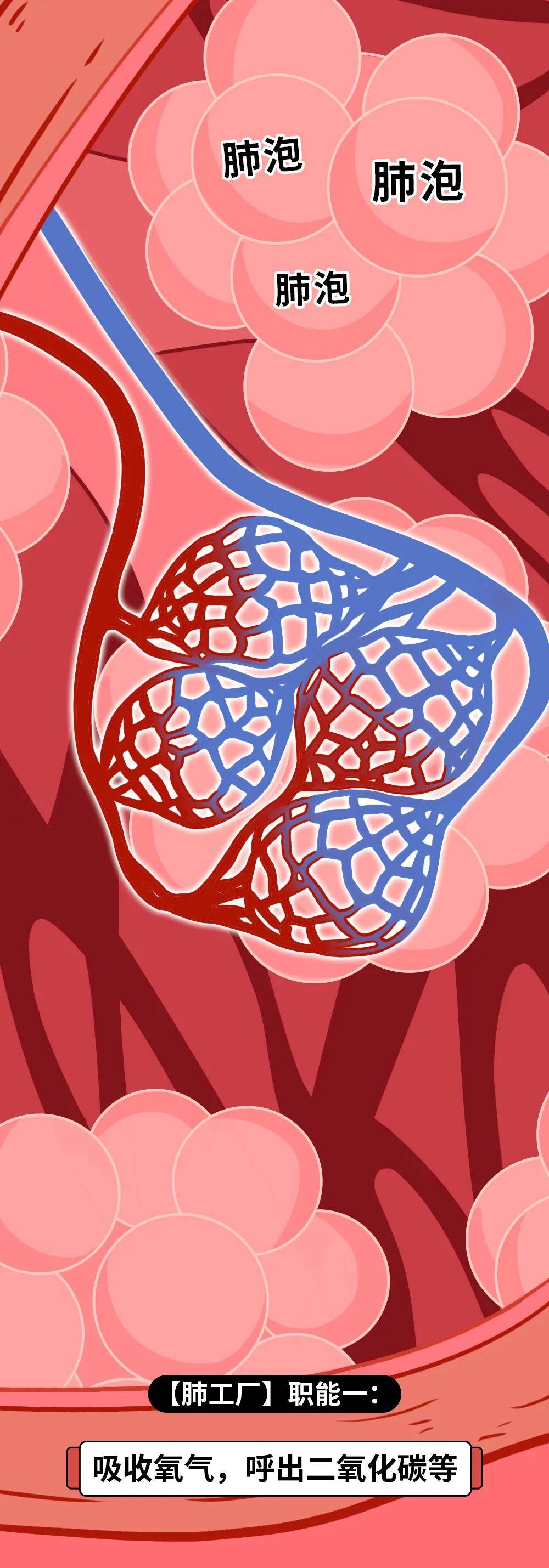 粘液|家人抽烟和不抽烟，10 年后，孩子差别居然这么大
