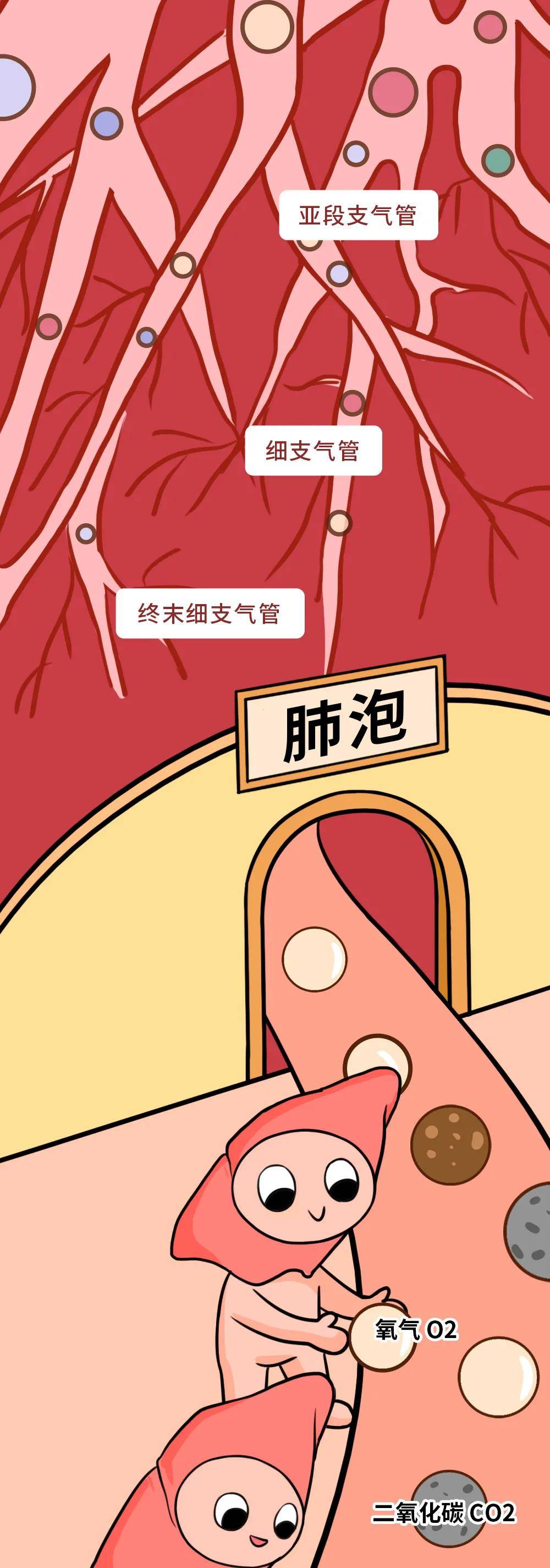 粘液|家人抽烟和不抽烟，10 年后，孩子差别居然这么大