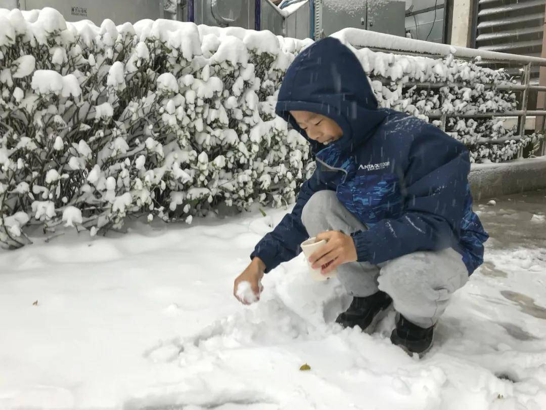 视频|你猜！雪中的武清有多美！