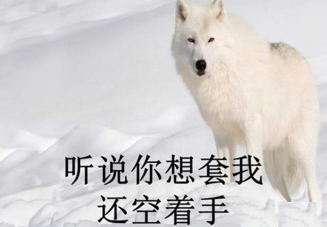 原创空手套白狼员工入职取得北京户口后2年后考上公务员辞职