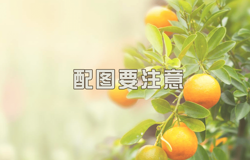 梦境之谜，解读梦见橘子树的深层含义与心理启示