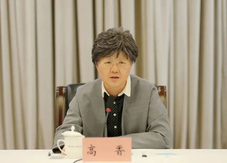 今年嘉定经济形势如何新城建设进展怎样区长高香这样说