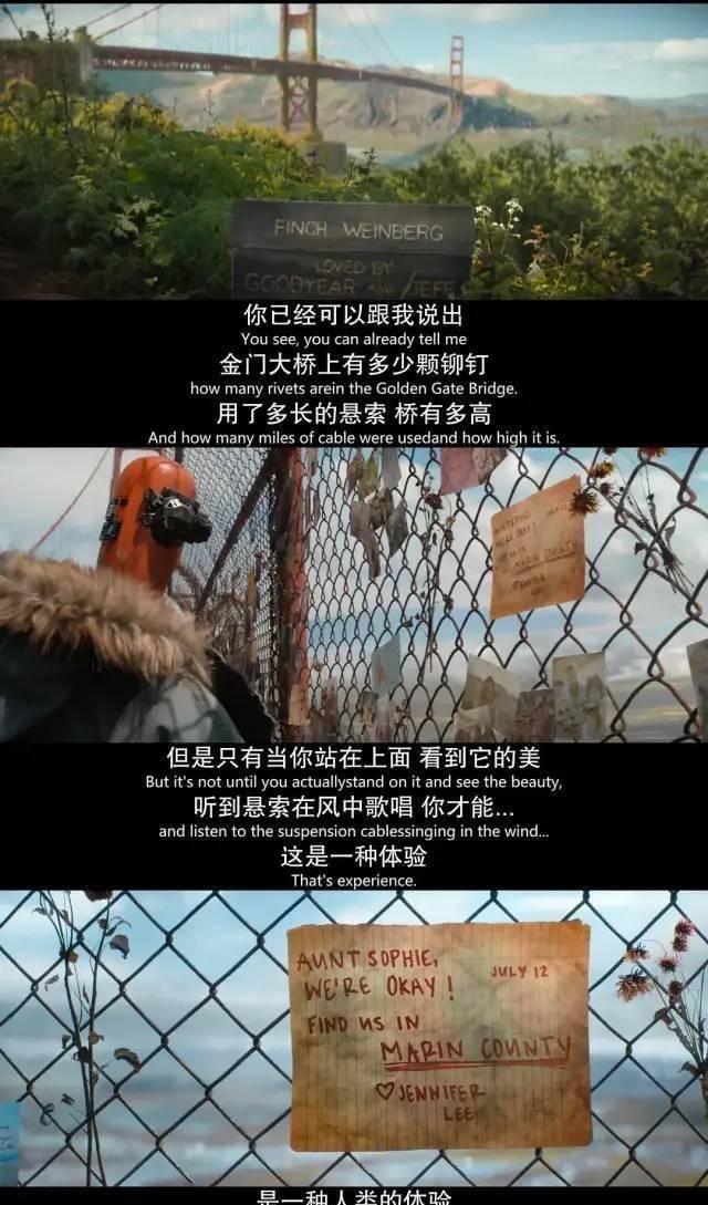 治愈|不愧是汤姆·汉克斯，撑起了人、狗、机器的末日旅程