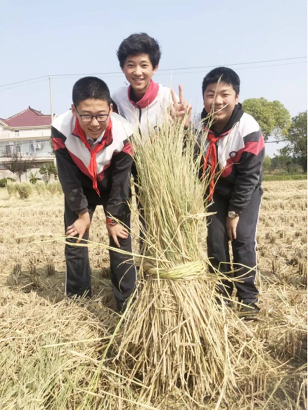 实名制羡慕宝山这样的全员导师制超暖心