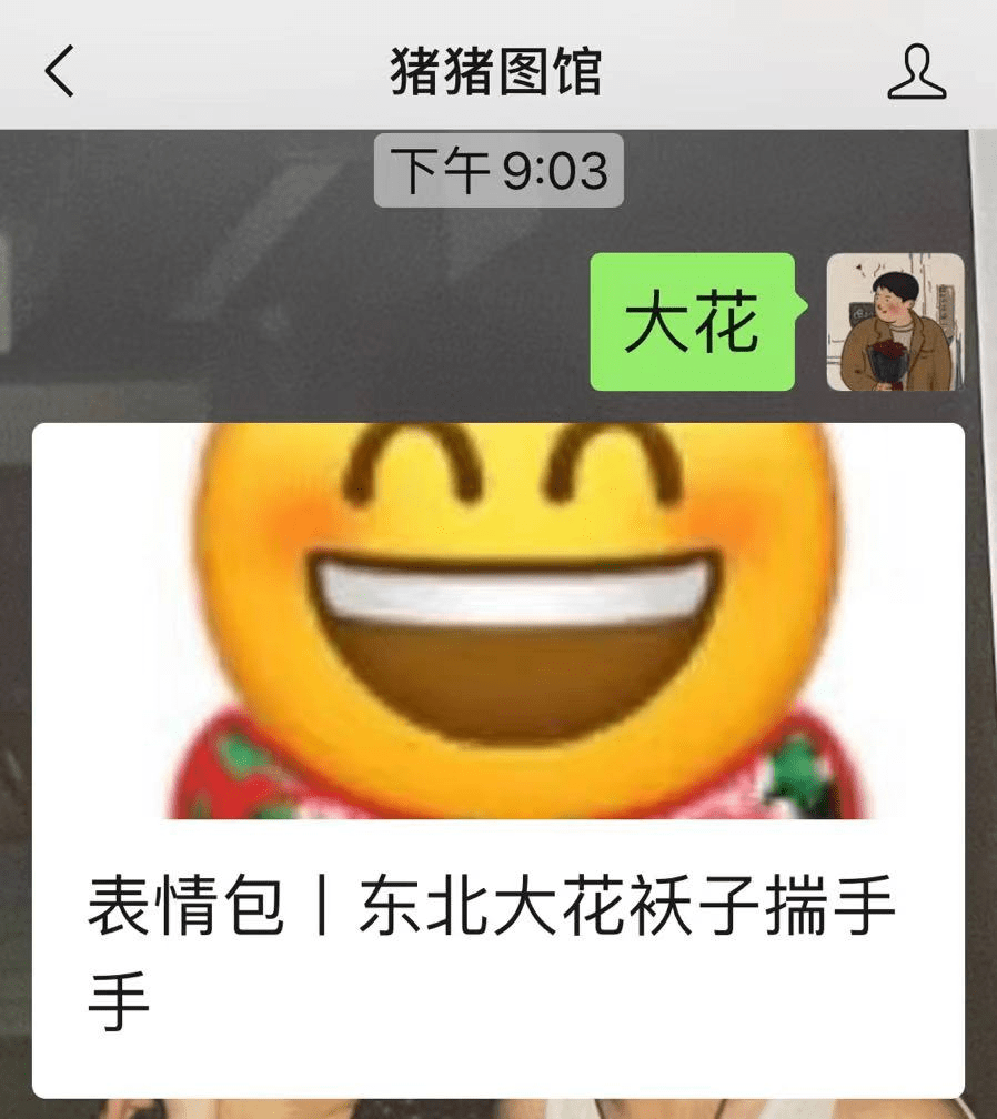 东北大花棉衣款表情包