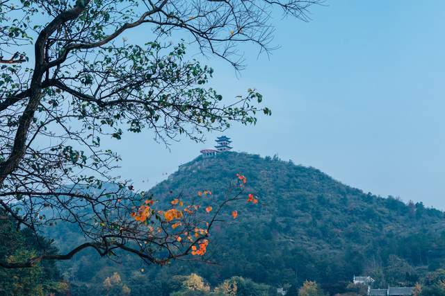 色彩|木兰胜天：自在安逸胜过天人，定格黄陂醉美“秋波”