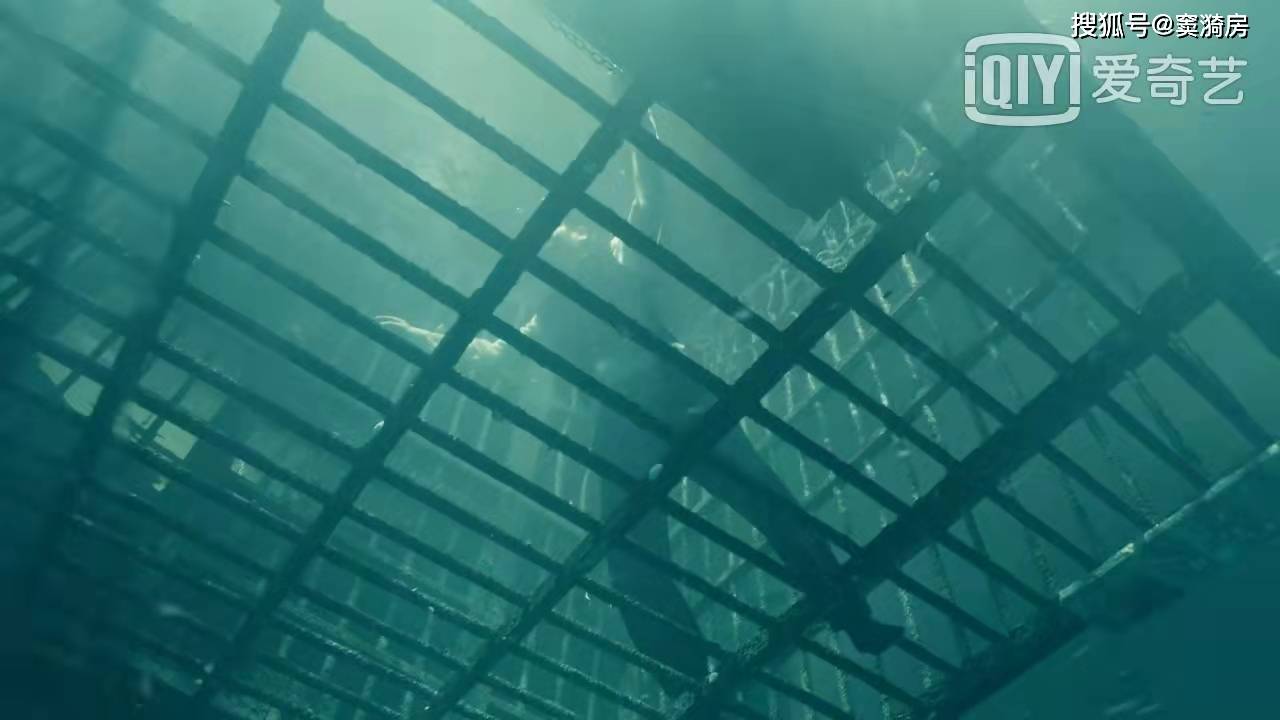 一战|一战封神!《前行者》真人水下实拍,弹幕区夸爆编剧,经典!