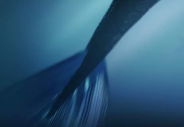 陈伟霆|《斛珠夫人》开播遭吐槽,杨幂状态不佳全靠滤镜,陈伟霆溜肩被嘲