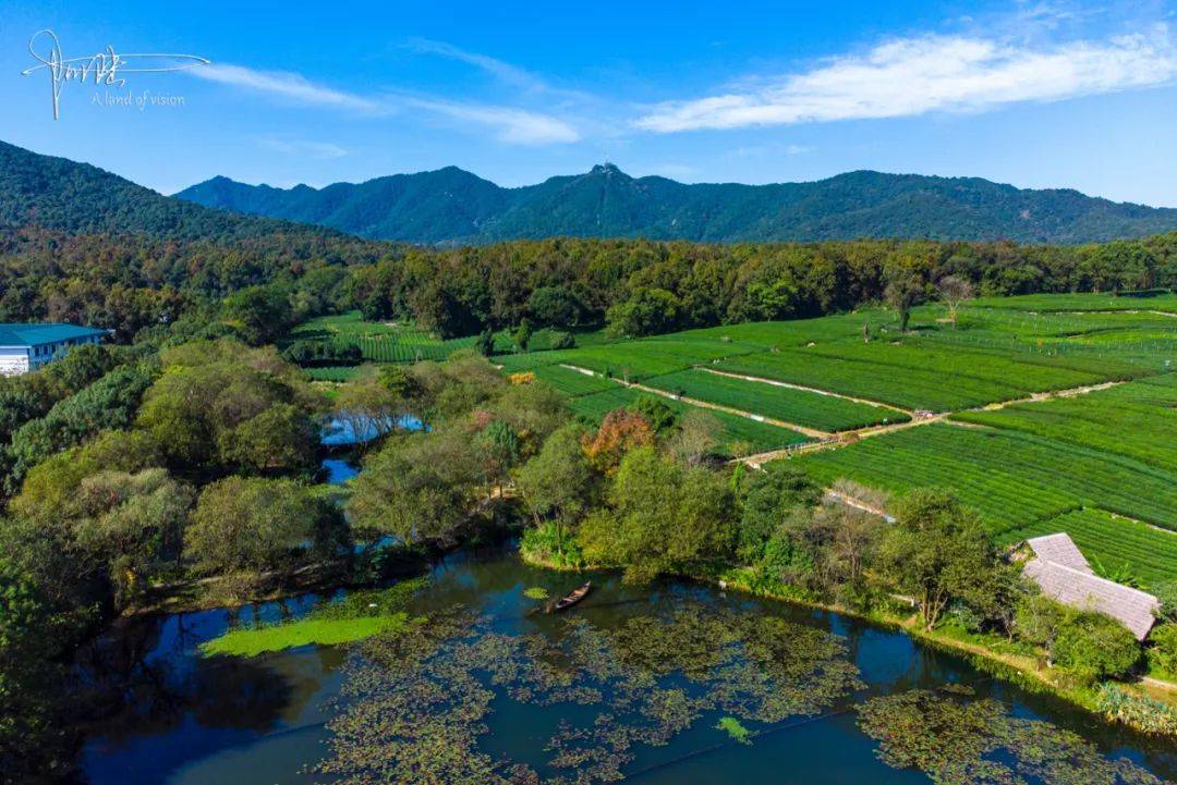 离西湖最近的茶园,面积不大,却依山傍水风景旖旎_茅家埠