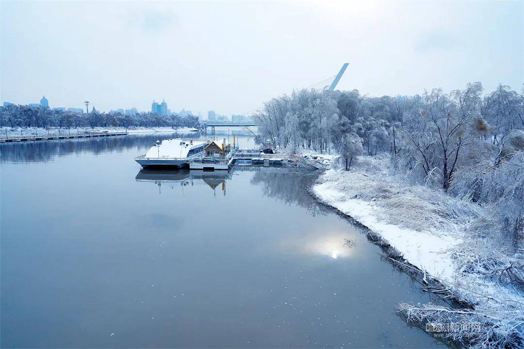 暂停|应对极端天气确保安全，太阳岛风景区暂停开放