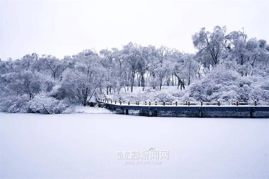 暂停|应对极端天气确保安全，太阳岛风景区暂停开放