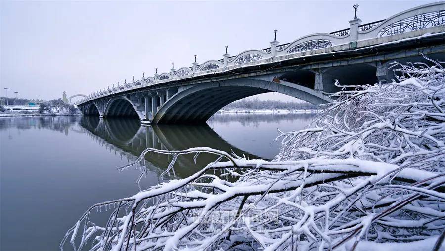 暂停|应对极端天气确保安全，太阳岛风景区暂停开放