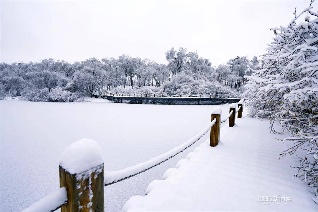 暂停|应对极端天气确保安全，太阳岛风景区暂停开放