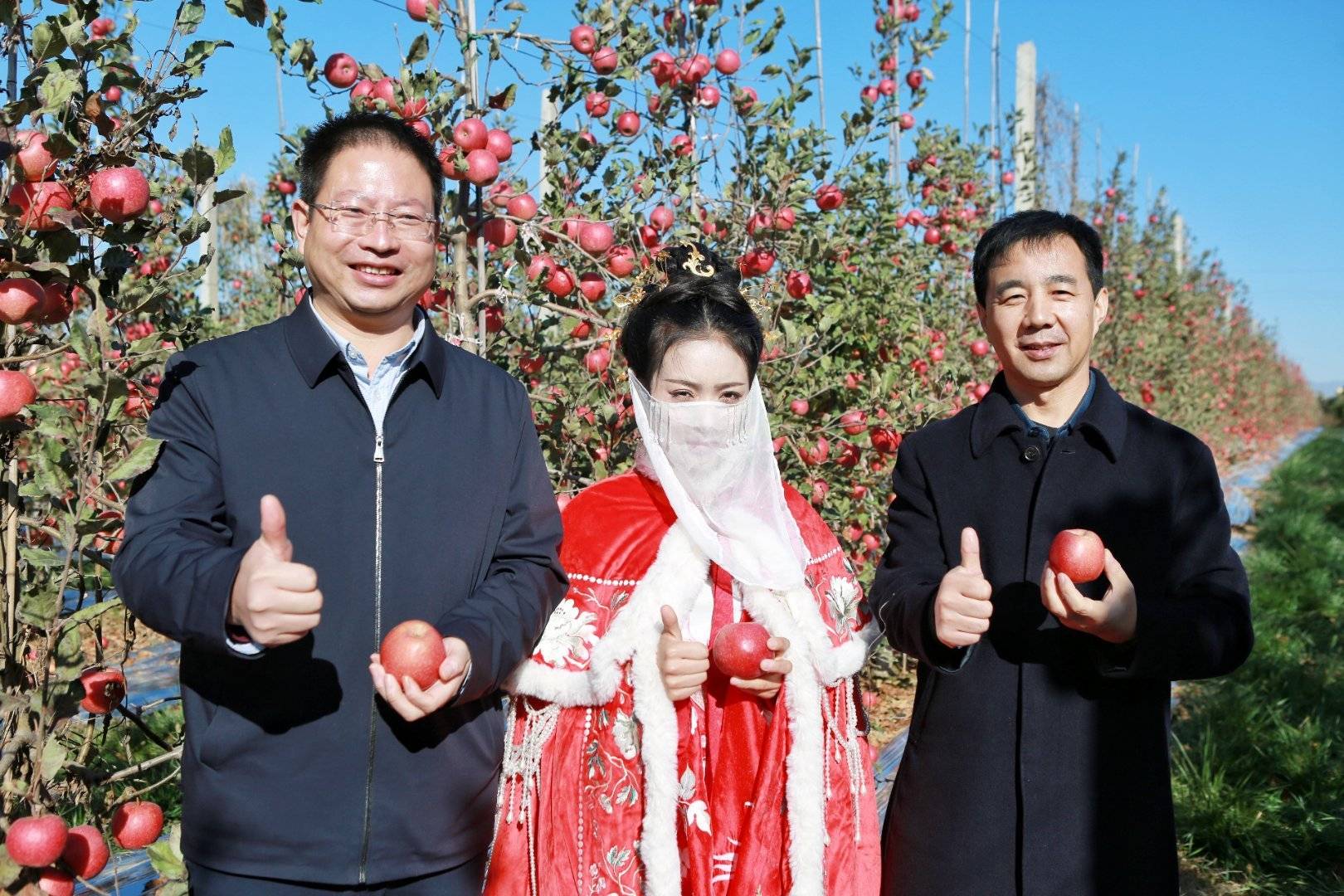 陕西农业品牌网承办的"百名主播陕西果业产区行"渭南活动在澄城县启动