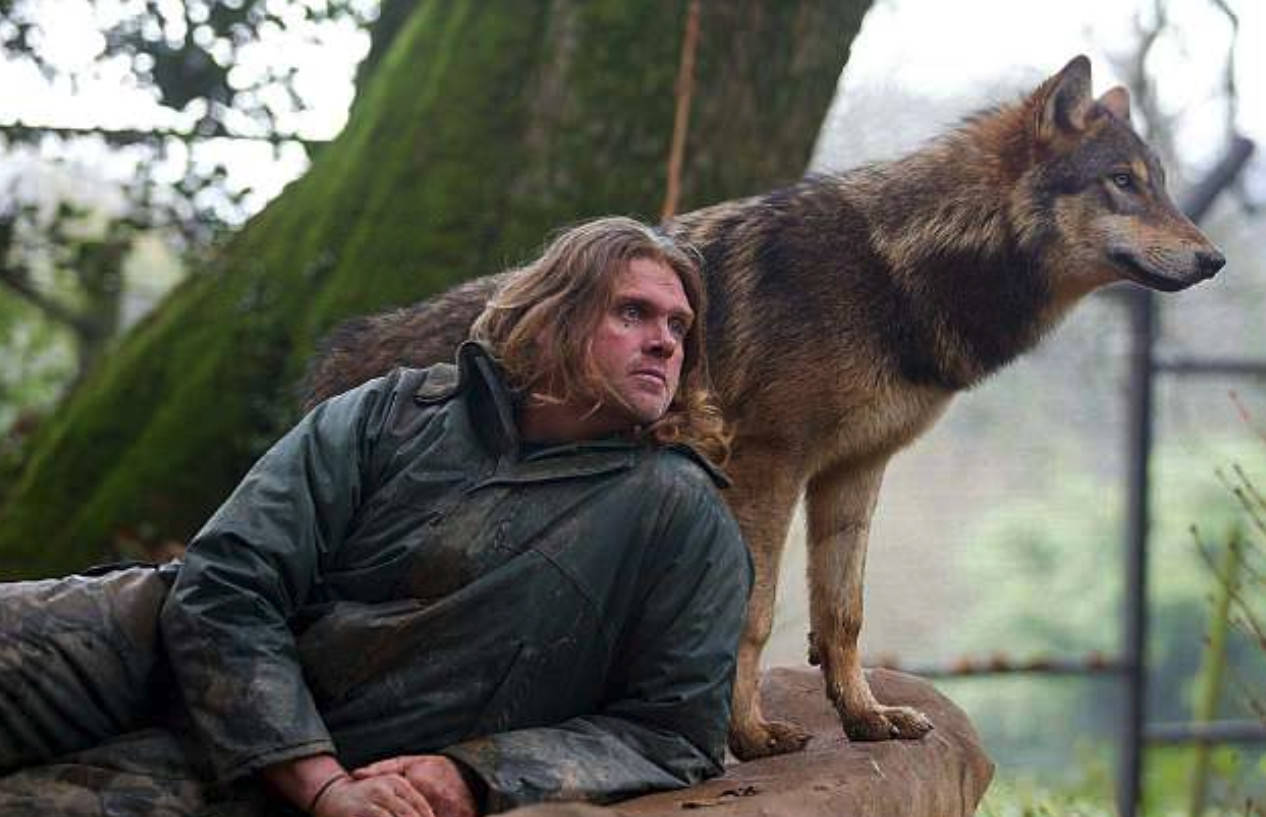 伪装成公狼与狼妻相处狼妻为他与狼王决战