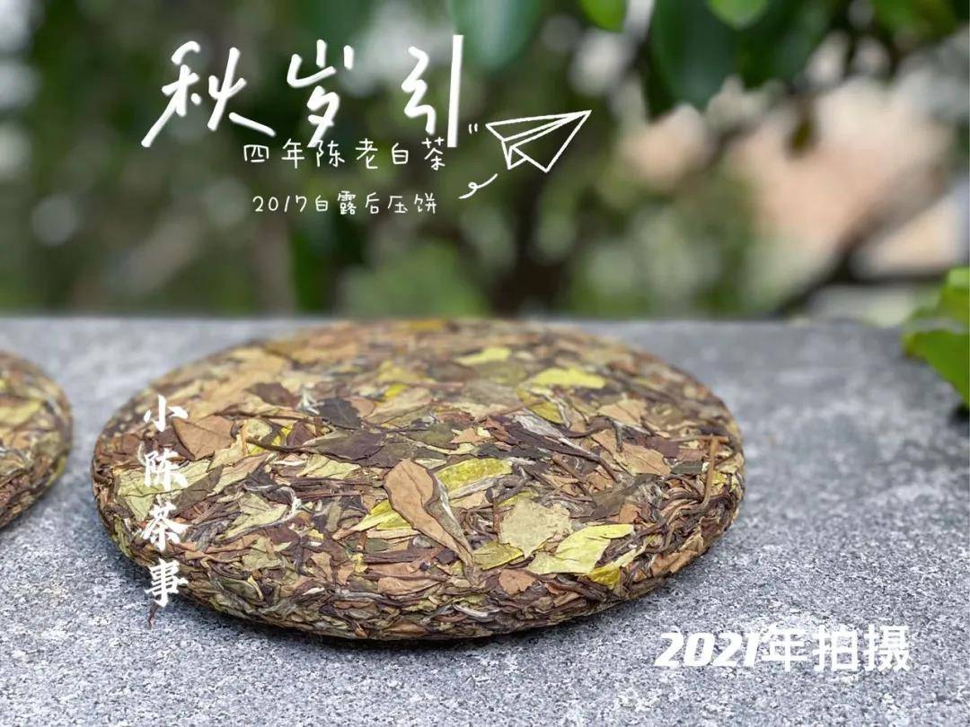 密封|家庭存白茶的4大要点，照着村姑陈的攻略做就行，白茶越存越香