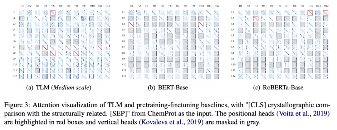 无需大规模预训练，清华提出高效NLP学习框架TLM