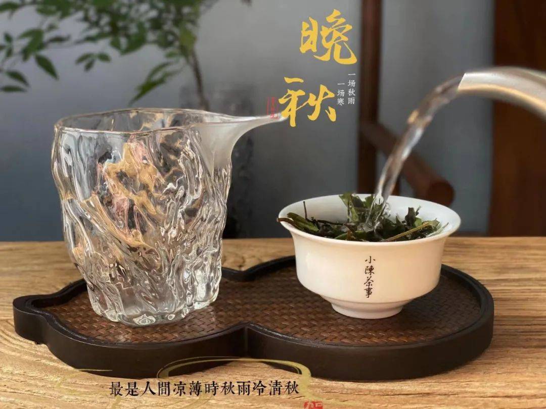因为|酸味比苦味更过分,在白茶和红茶中喝到,赶紧舍弃吧!