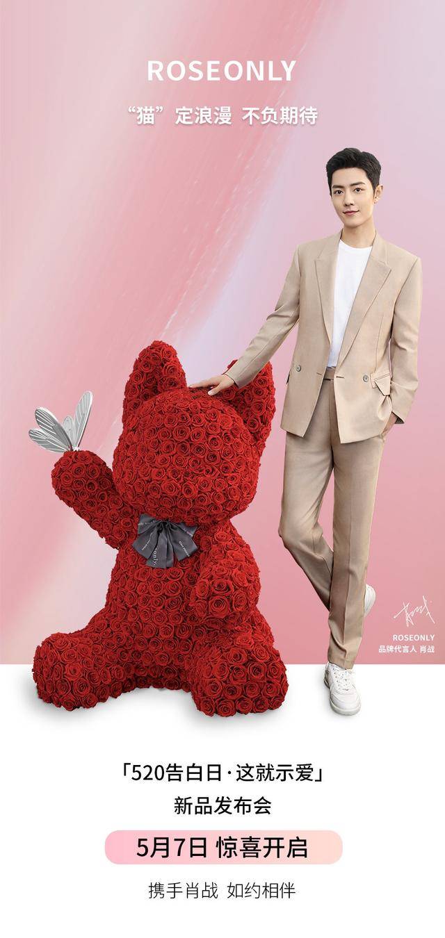 猫咪 肖战直播,与roseonly一起发布爱的告白