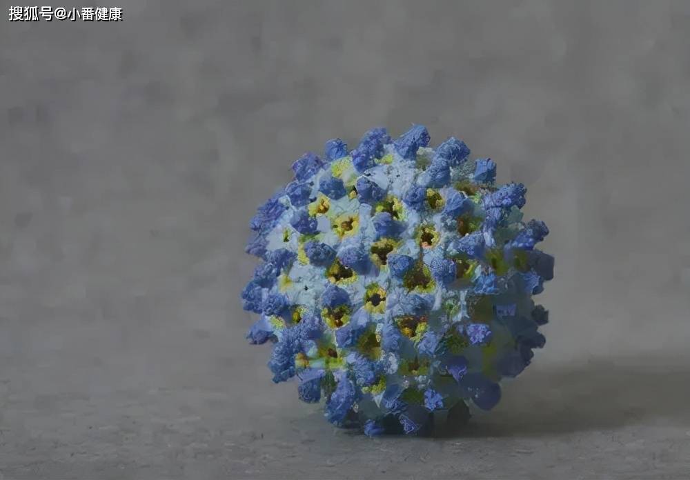 新进展|乙肝Aligos更新进展，开发协同作用机制，3种已处在临床研究