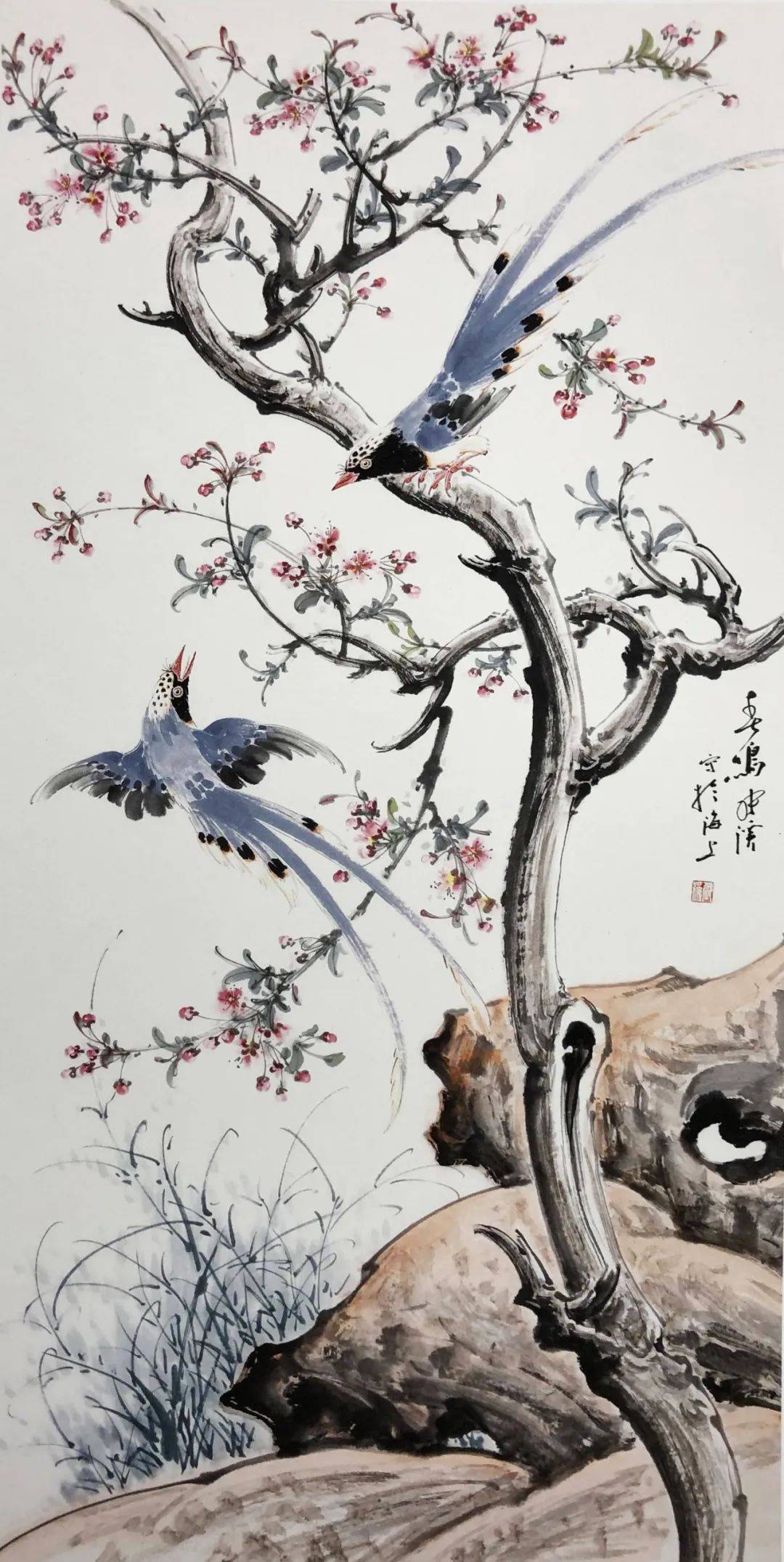 妙造自然巧得天趣张秋波小写意花鸟画艺术品鉴