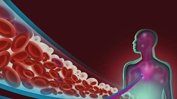 肾脏|肾病患者经常遇到的三个治疗“谣言”,害人不浅,尤其是最后一个