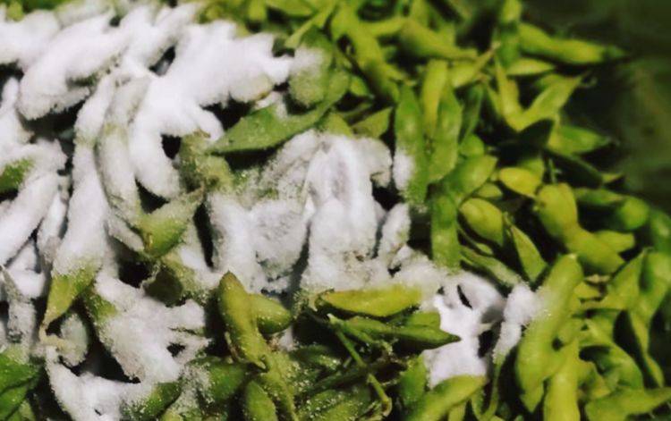 毛豆干|每年秋季,我家总会晒一篮它,香糯又劲道,当零食随吃随取,贼香