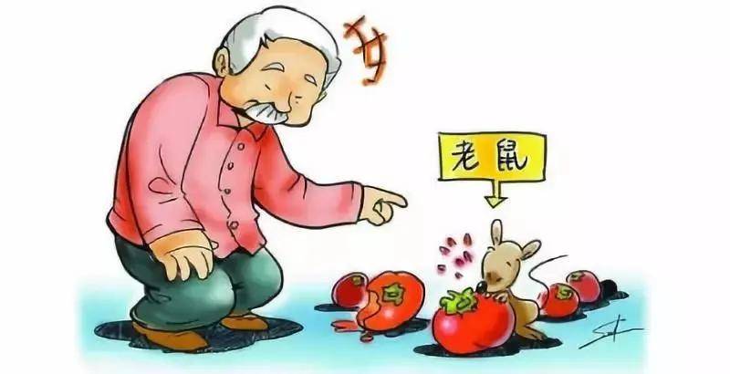 综合征|31岁小伙高烧不退以为是肠胃炎 竟是流行性出血热