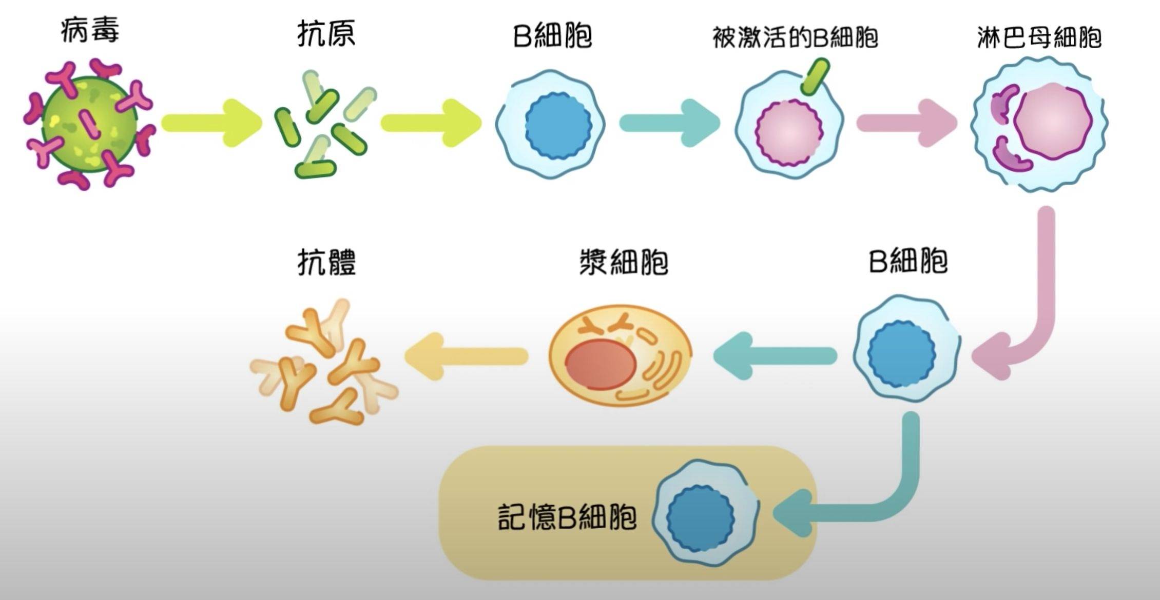 自然免疫胜过疫苗新冠病愈的人还要打疫苗吗
